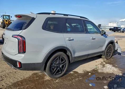 2025 Kia Telluride Ex from USA, damaged, VIN 5XYP3DGC9SG676439